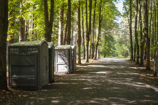 Best High-end porta potty rental  in Verona, WI
